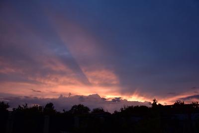 Прикрепленное изображение: 1.JPG